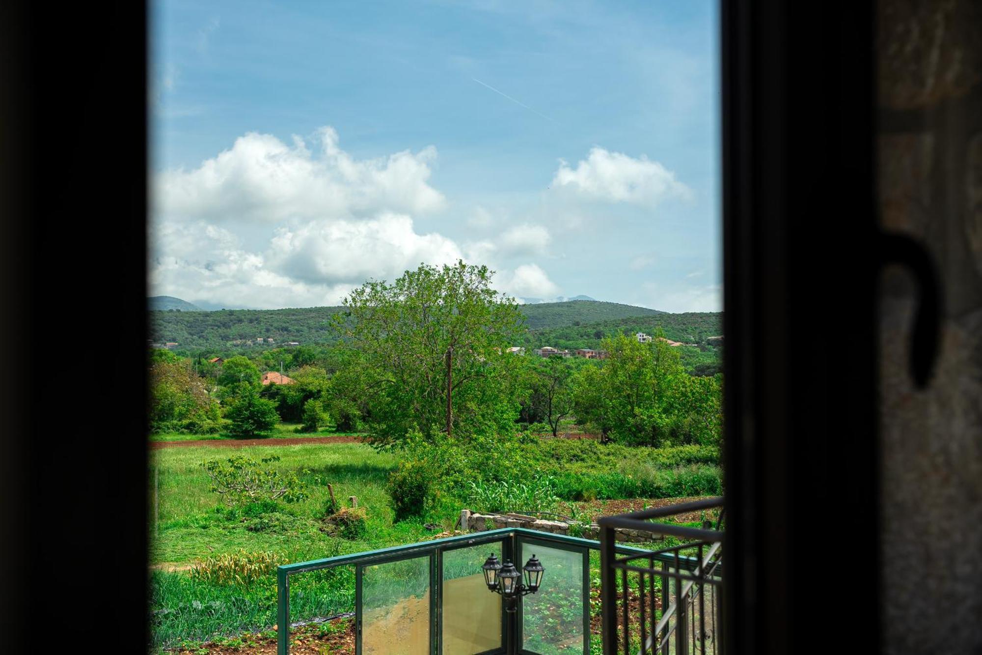 Apartment Jovana Zagora